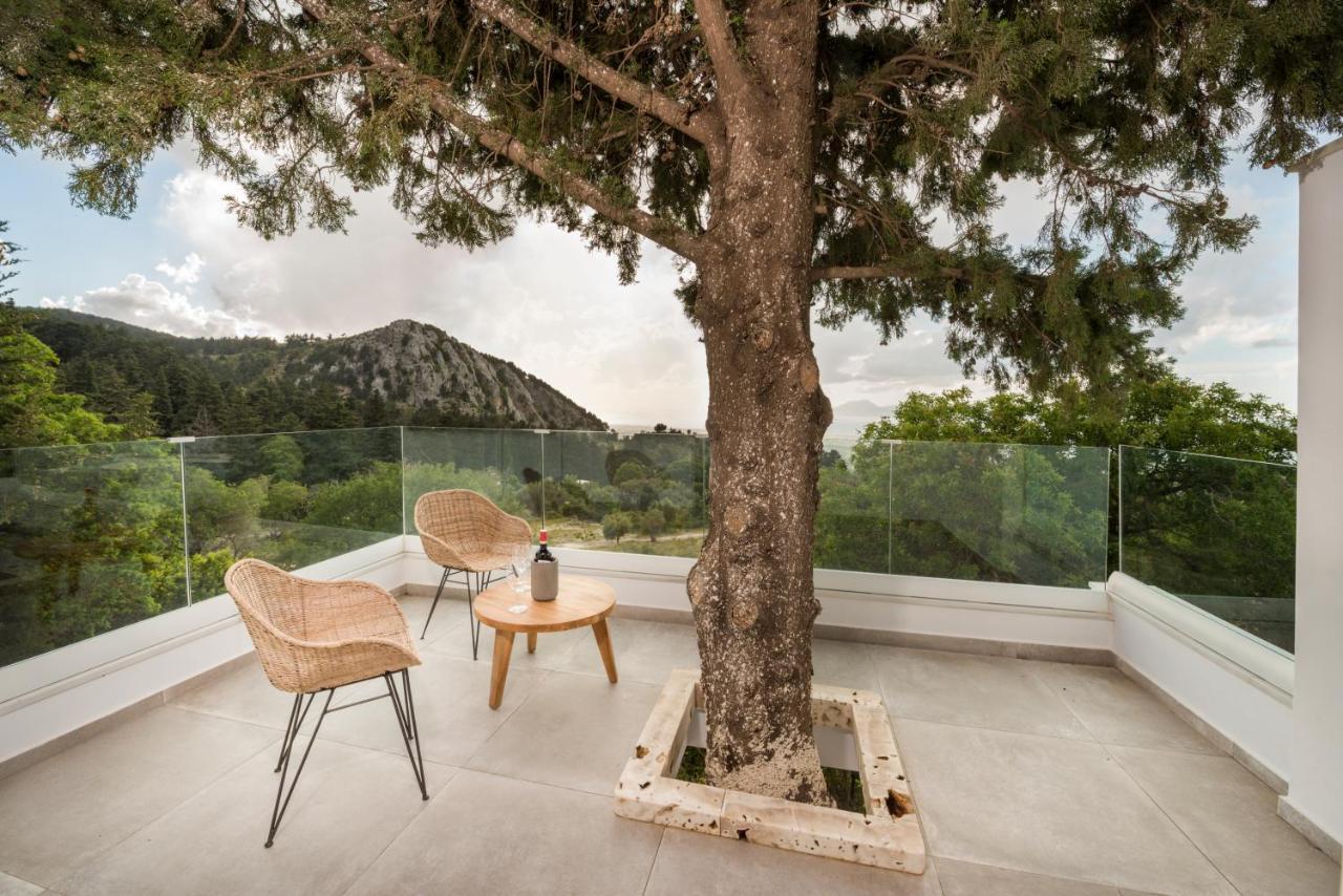Forest View Villas 1 Lagoudi Zia Exterior foto